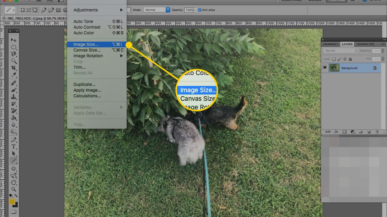 photoshopexport for mac from windows photoshop